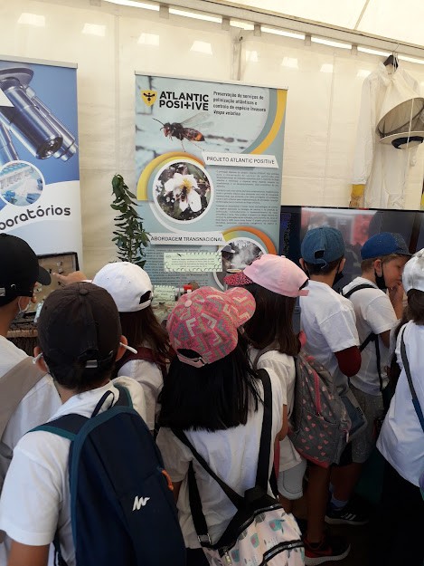 The Atlantic Positive in the International Science Festival, Oeiras, Portugal